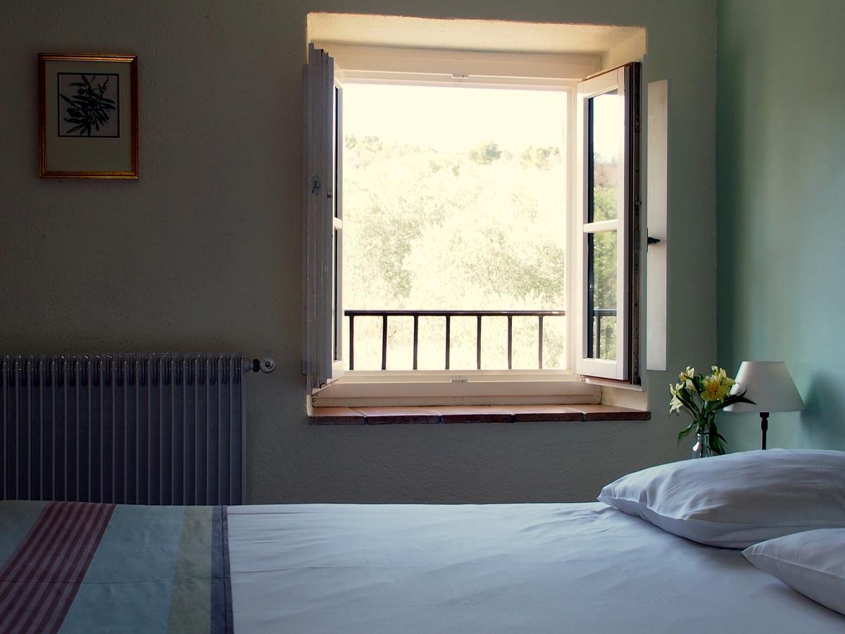 סן-לורן-דו-ורדון Hotel Le Moulin Du Chateau מראה חיצוני תמונה